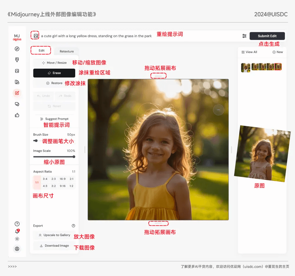 《生成式人工智能应用发展报告（2024）》